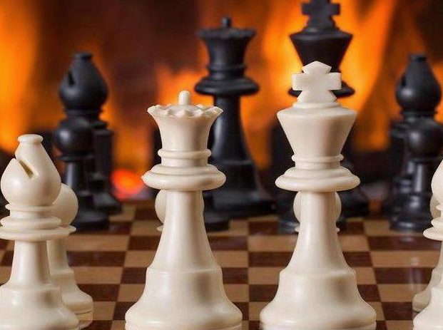 Curated Gaming Wisdom. Expert Insights Meet Passionate Player Community